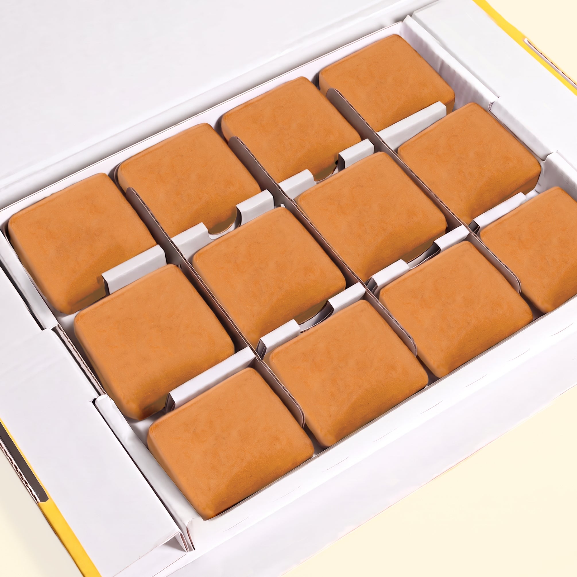 Box of 12 Himalayan Salted Caramel Protein² bars from One Good Thing, with 15g protein per bar
