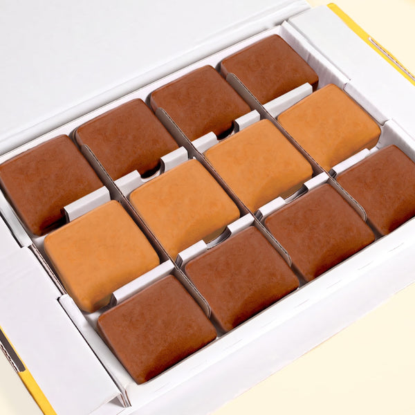 Protein² variety pack of 12 bars: Himalayan Salted Caramel, Velvet Chocolate Fudge and Dark Chocolate & Blood Orange